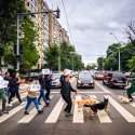 Protest împotria tăierii copacilor - Bd. Tineretului