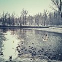 Iarna pe lac