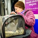 Pisica din metrou - Seara Colectiv