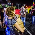 Cățel - Protest anticorupție - Piața Victoriei