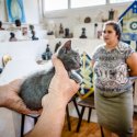 Pisica - Combinatul Fondului Plastic - Ateliere Deschise