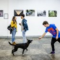 Make a Point - Noaptea Albă a Galeriilor 2017 - Șoseaua Morarilor - Postăvăria Română