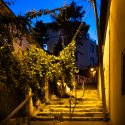 Strada Xenofon - Excursie - Ziua Internațională a fotografiei