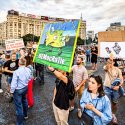 Protest - Alegeri locale - Piața Victoriei