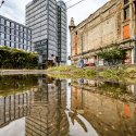 Reflexie - Calea Griviței