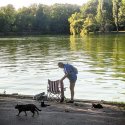 Pescar cu pisici - Parcul Herăstrău