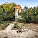 Pisici în casa abandonată - Parcul Tineretului