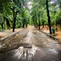 Canal după furtună - Parcul Carol