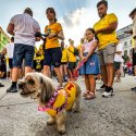 Suporteri - Euro 2024 - Piața Universității