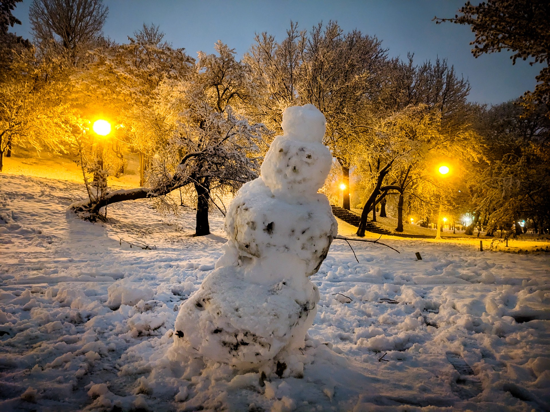 Om de zăpadă - Parcul Tineretului