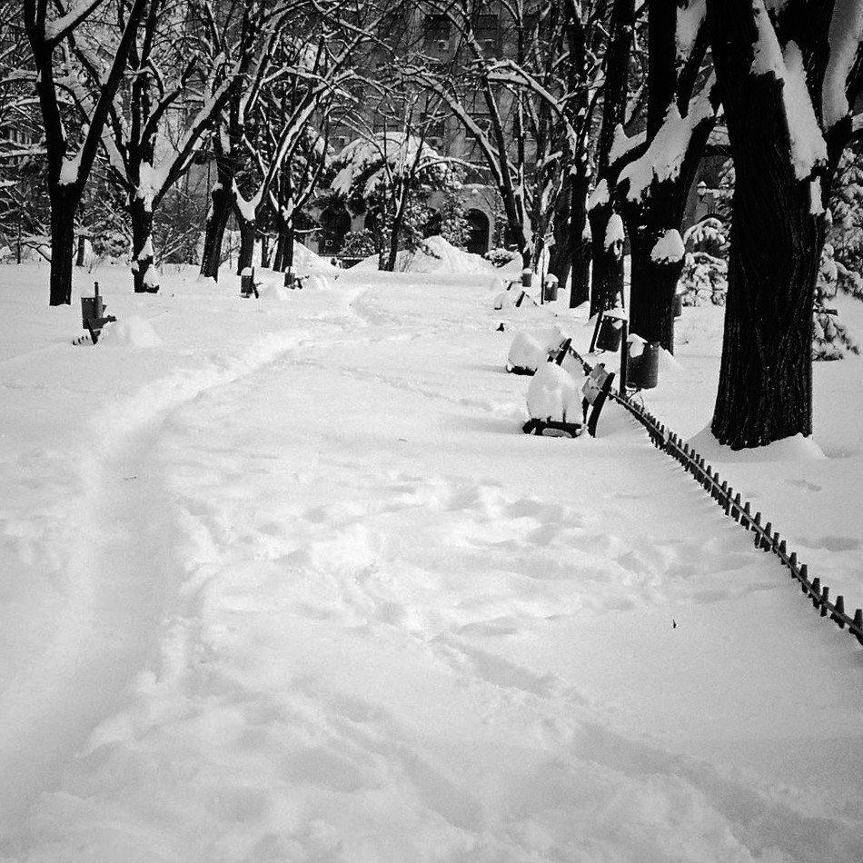 Parcul Gării sub zăpadă