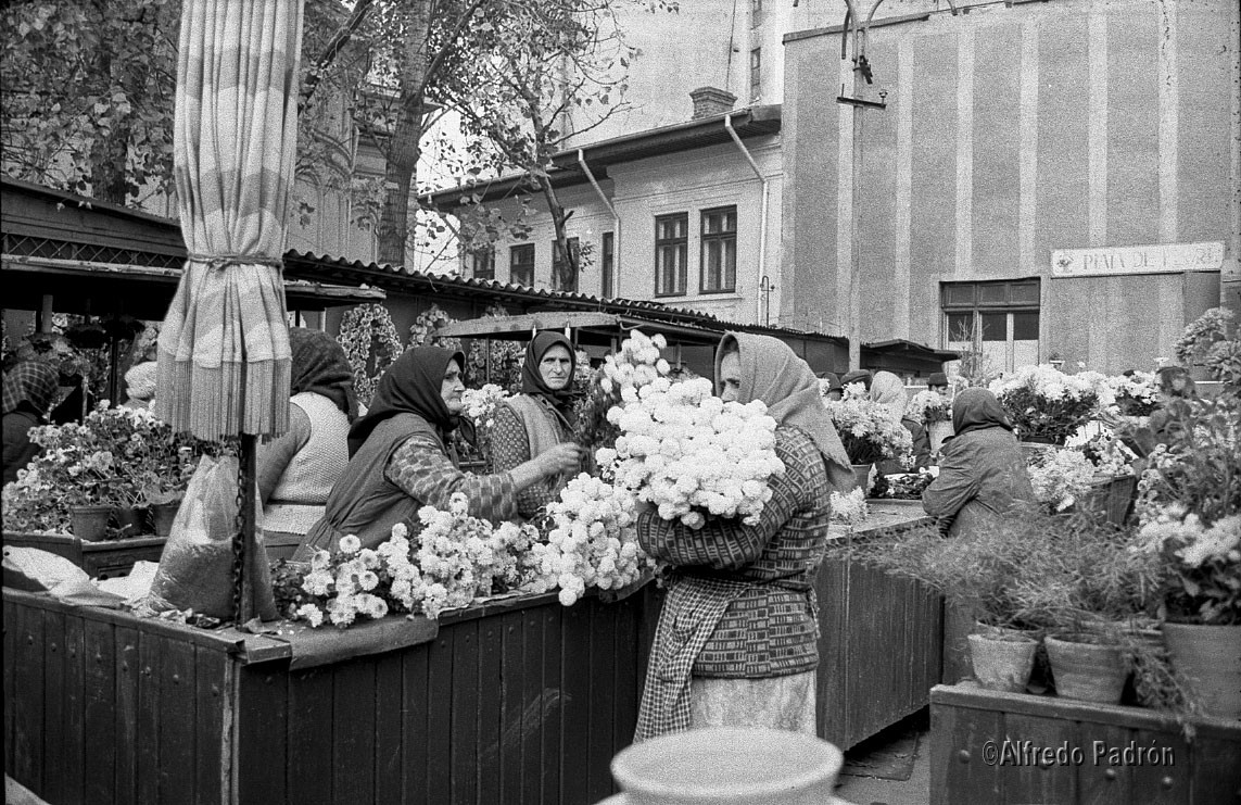 Piața de flori din spatele bisericii Sfântul Ioan Nou