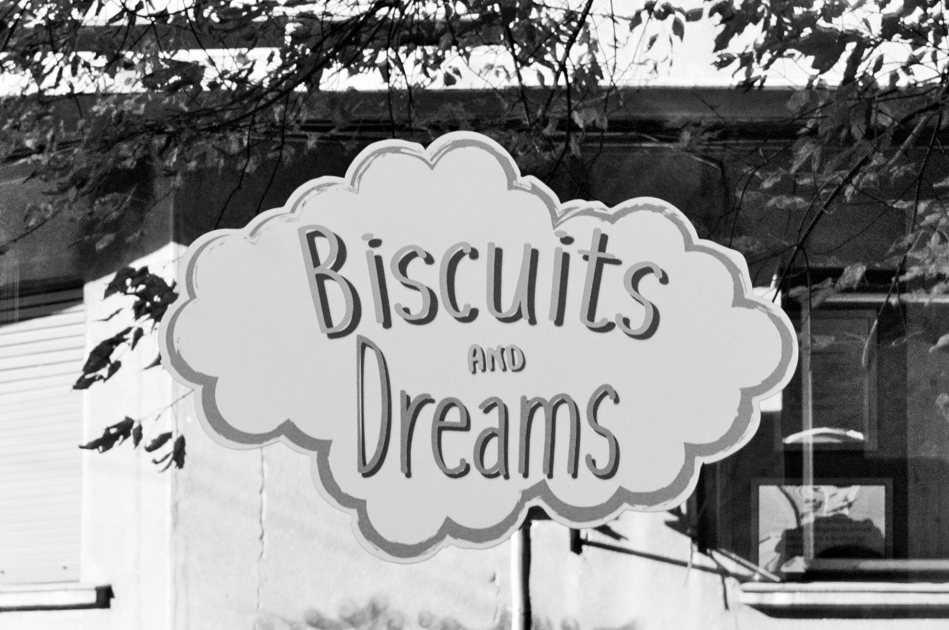Biscuits in my dreams