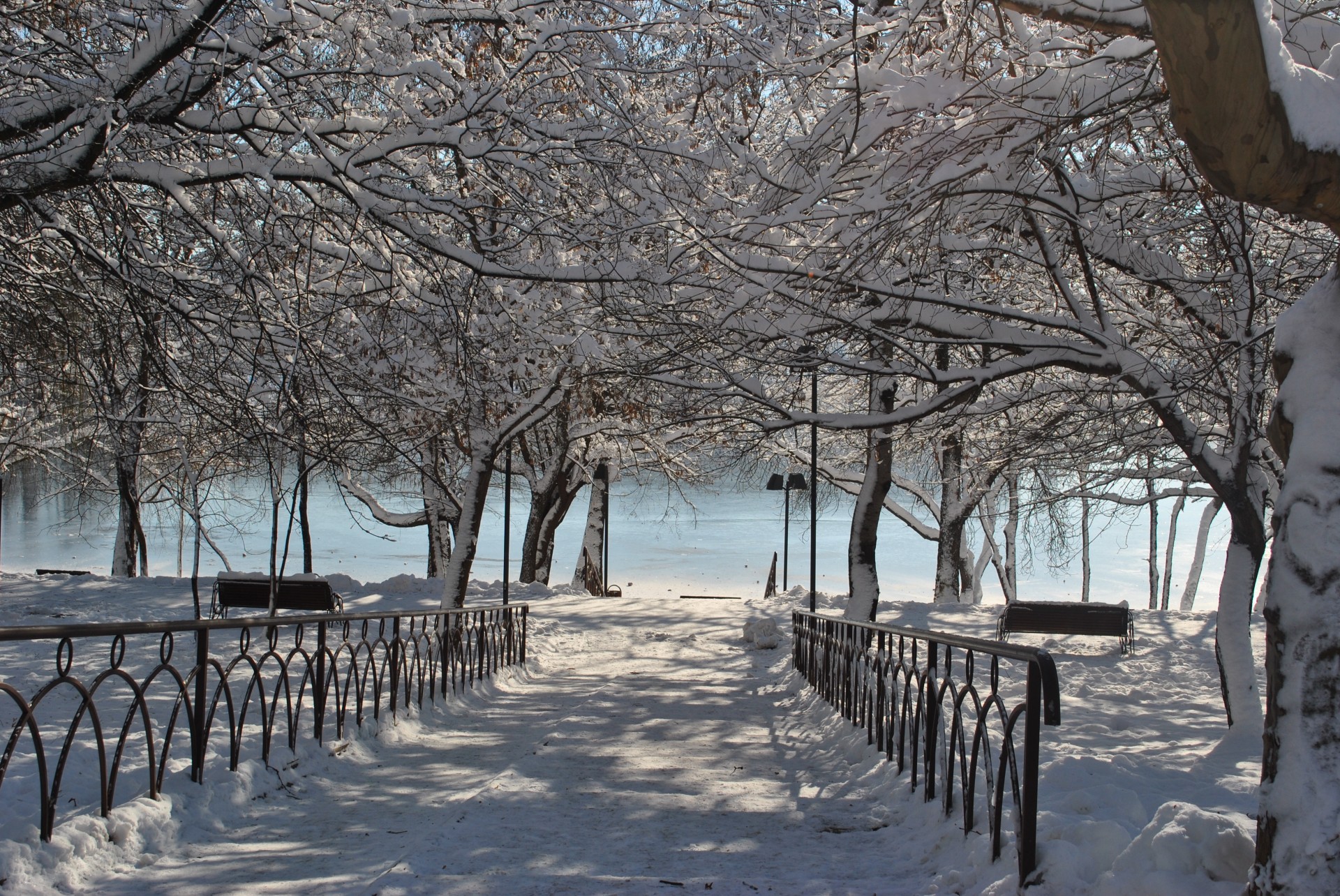 Iarna in parcul IOR