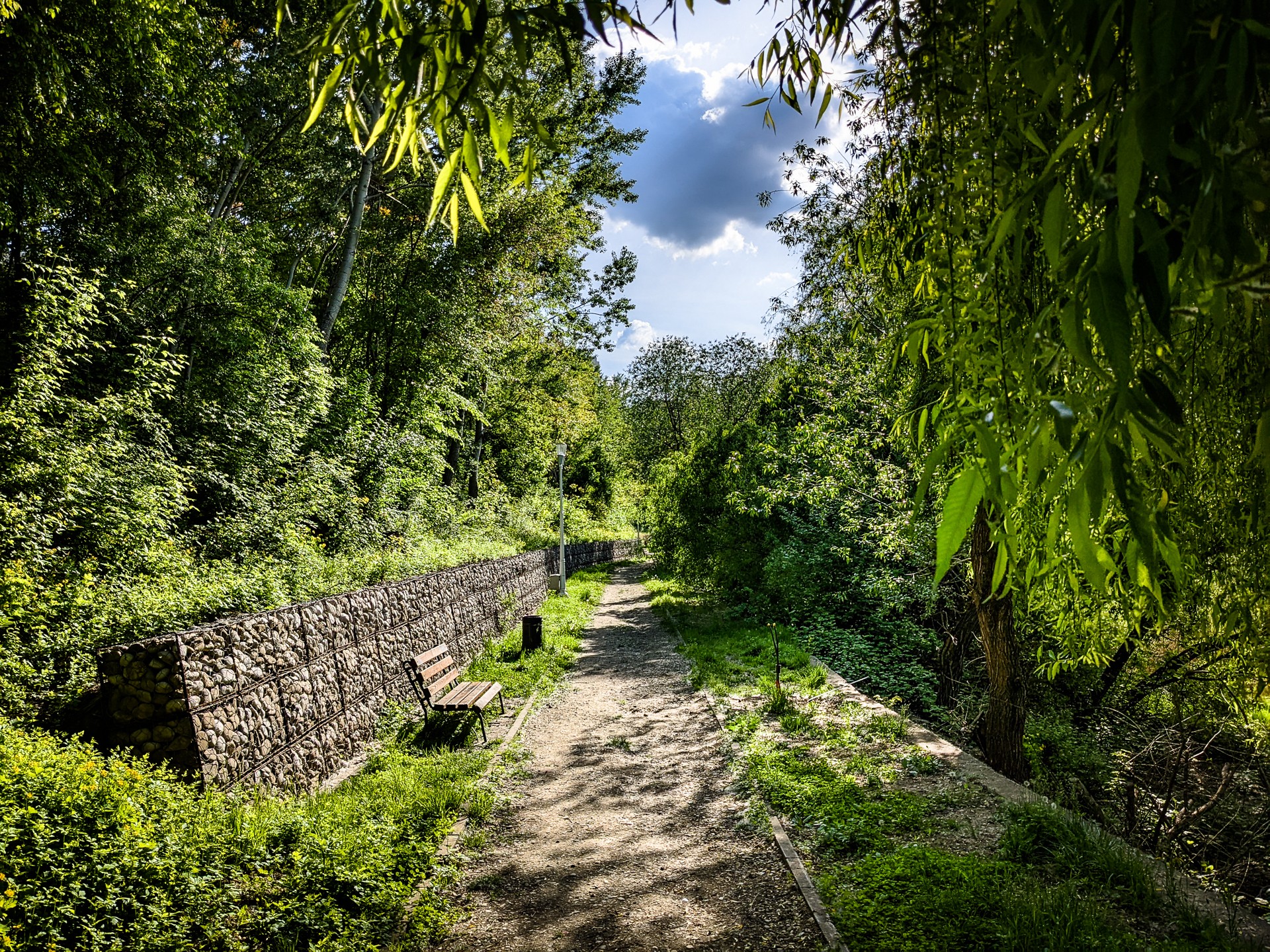 Parcul Ecologic Dobroești
