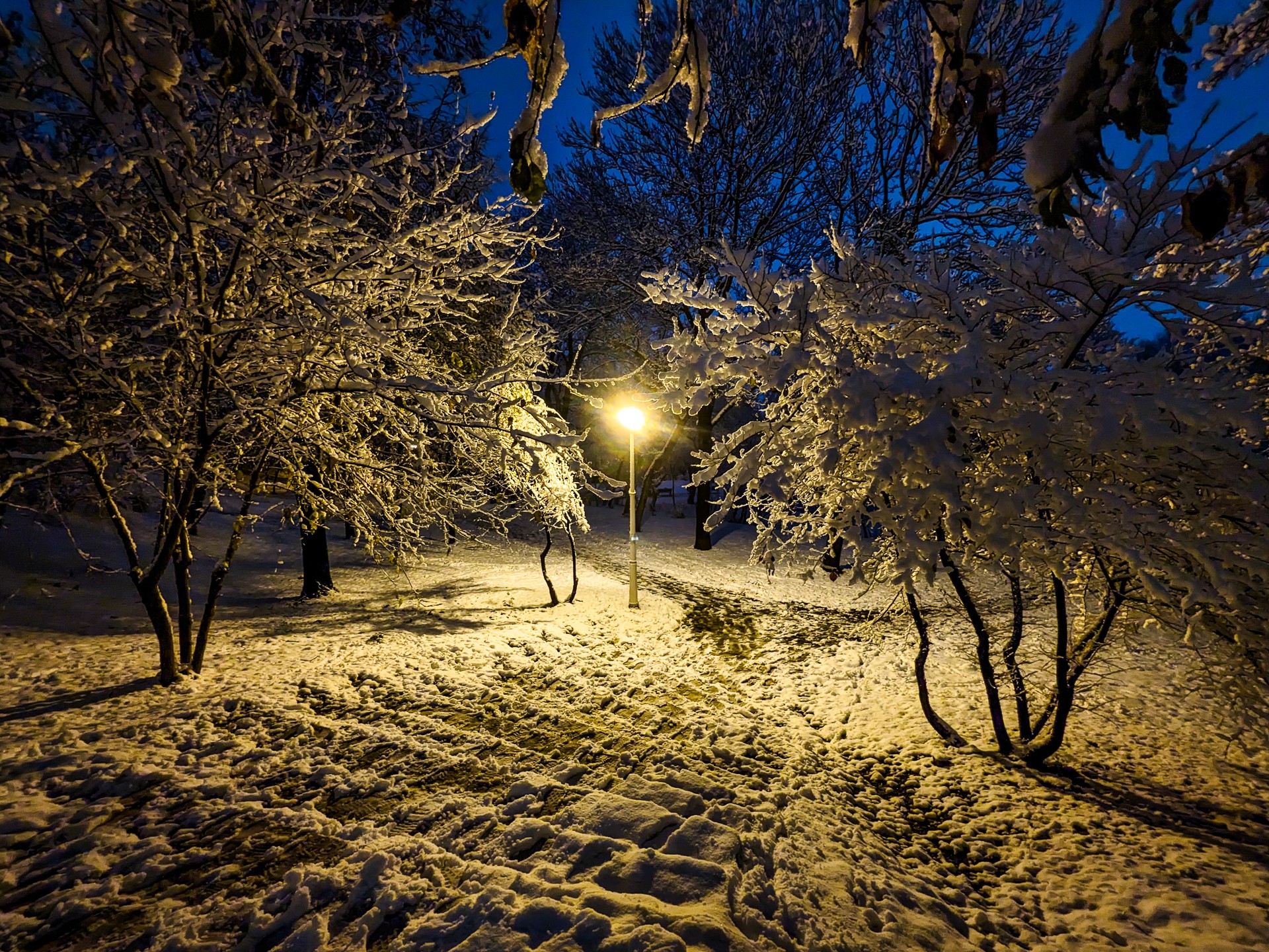 Iarna - Parcul Tineretului