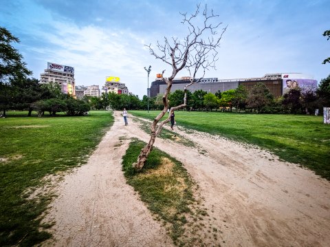 Potecă - Parcul Unirii