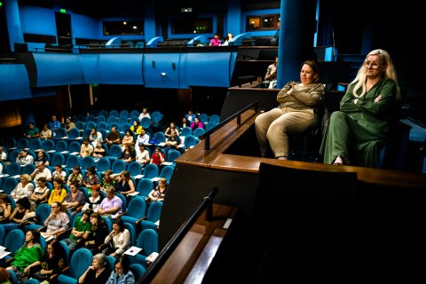 În public - Estivalul de Teatru - Teatrul Bulandra