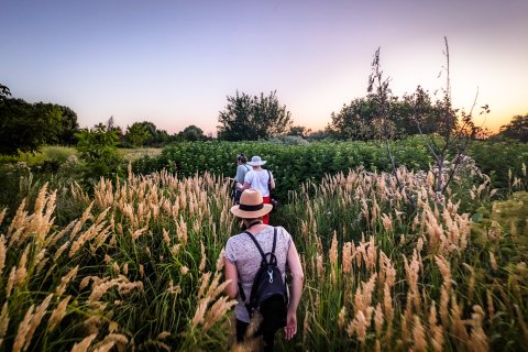 Excursie în Delta Văcărești