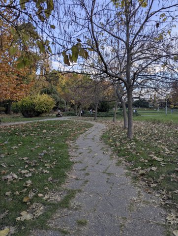 Peisaj de toamna in parcul Herastrau