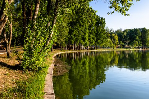 Malul lacului - Excursie - Ziua Internațională a fotografiei