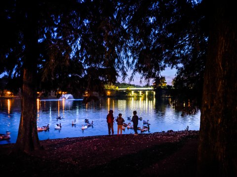 Seara - Parcul Tineretului