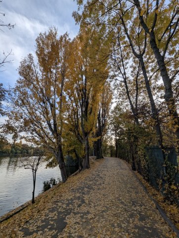 Peisaj de toamna in parcul Herastrau