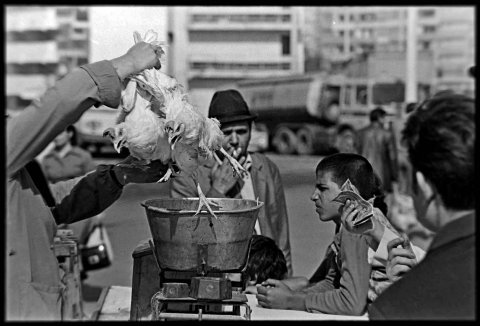 În piața Obor, se vindeau găini vii la kilogram