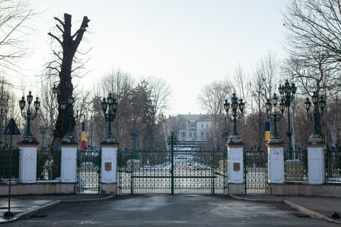 Poarta - Palatul Cotroceni