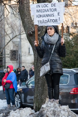 Protest pro guvern - Cotroceni - Bulevardul Gheorghe Marinescu
