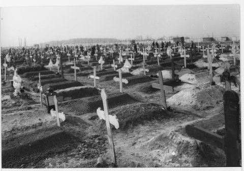 Cimitirul Domnești - morminte ale victimelor cutremurului