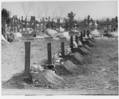 Cimitirul Domnești - morminte ale victimelor neidentificate din diferite zone ale Bucureştiului