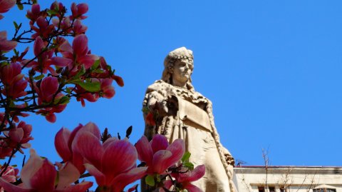 Statuia Domnitei Balasa cu magnolia ei