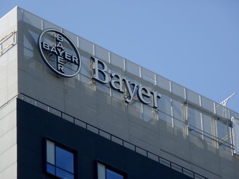Bayer - firme din zona corporatista Pipera