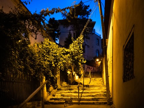 Strada Xenofon - Excursie - Ziua Internațională a fotografiei