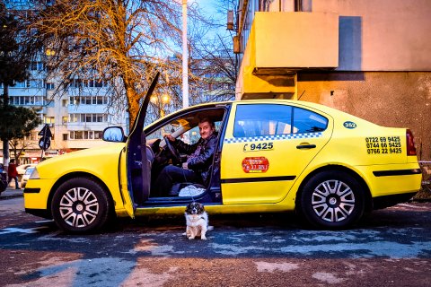 Taxi - Șoseaua Pantelimon