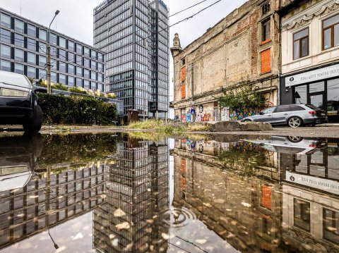 Reflexie - Calea Griviței