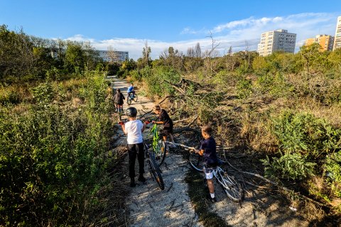 Parcul IOR - Titan - Zona retrocedată