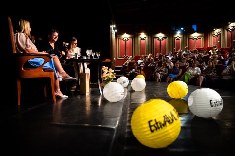 Vlad Zamfirescu - Estivalul de Teatru - Teatrul Metropolis