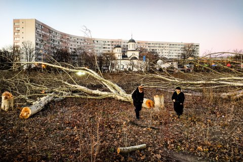 Defrișare - Parcul IOR - Titan