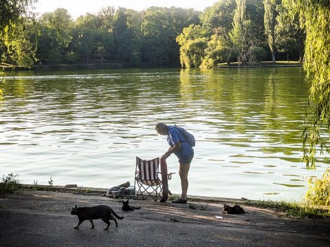 Pescar cu pisici - Parcul Herăstrău