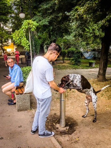 Țâșnitoare - Parcul Izovor