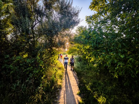 Excursie în Delta Văcărești