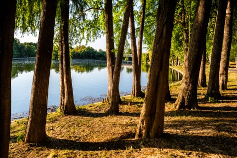 Spre pod - Excursie - Ziua Internațională a fotografiei