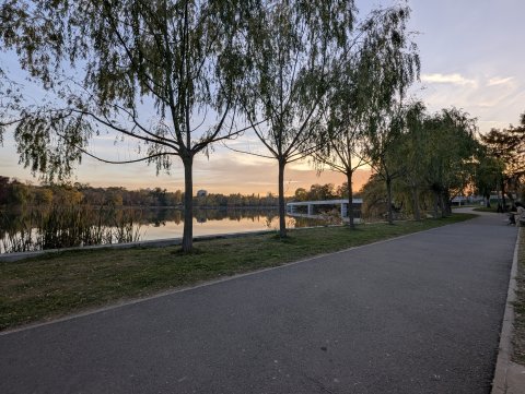 Apus in Parcul Bordei