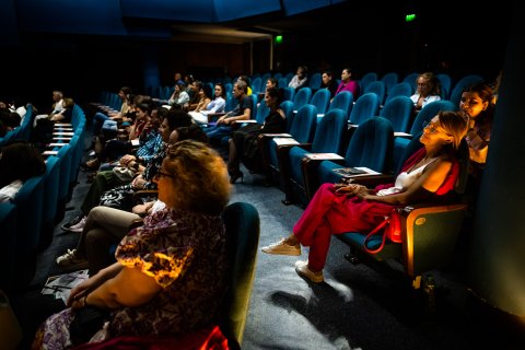 Public - Estivalul de Teatru - Teatrul Bulandra