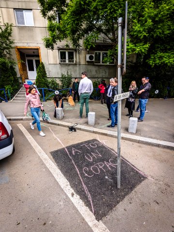 Protest împotria tăierii copacilor - Bd. Tineretului