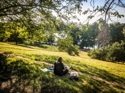 Desen în natură - Parcul Tineretului