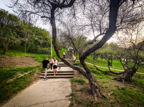 Scări - Parcul Tineretului