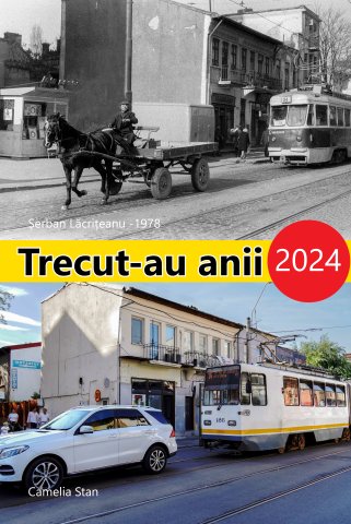 Trecut-au anii 2024, Serban Lacriteanu